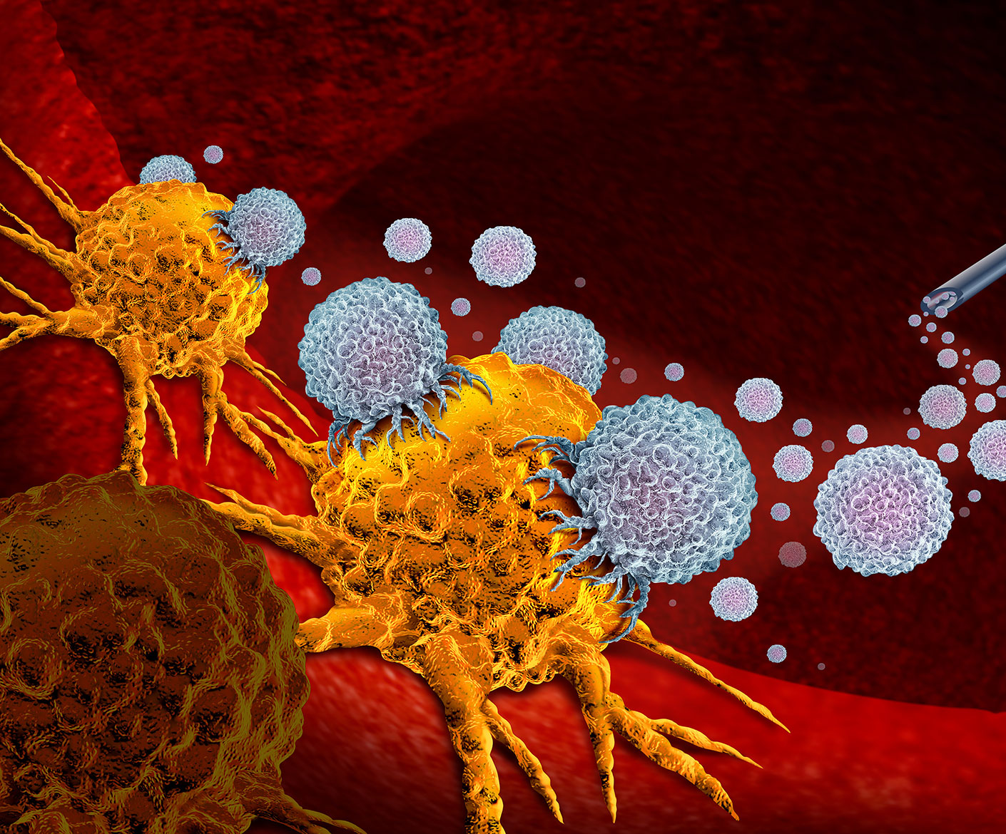 Specialized immune cells for new cancer therapies