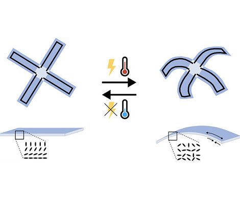 A mushy robotic hand strikes by heating a liquid crystal |  Internet engineering