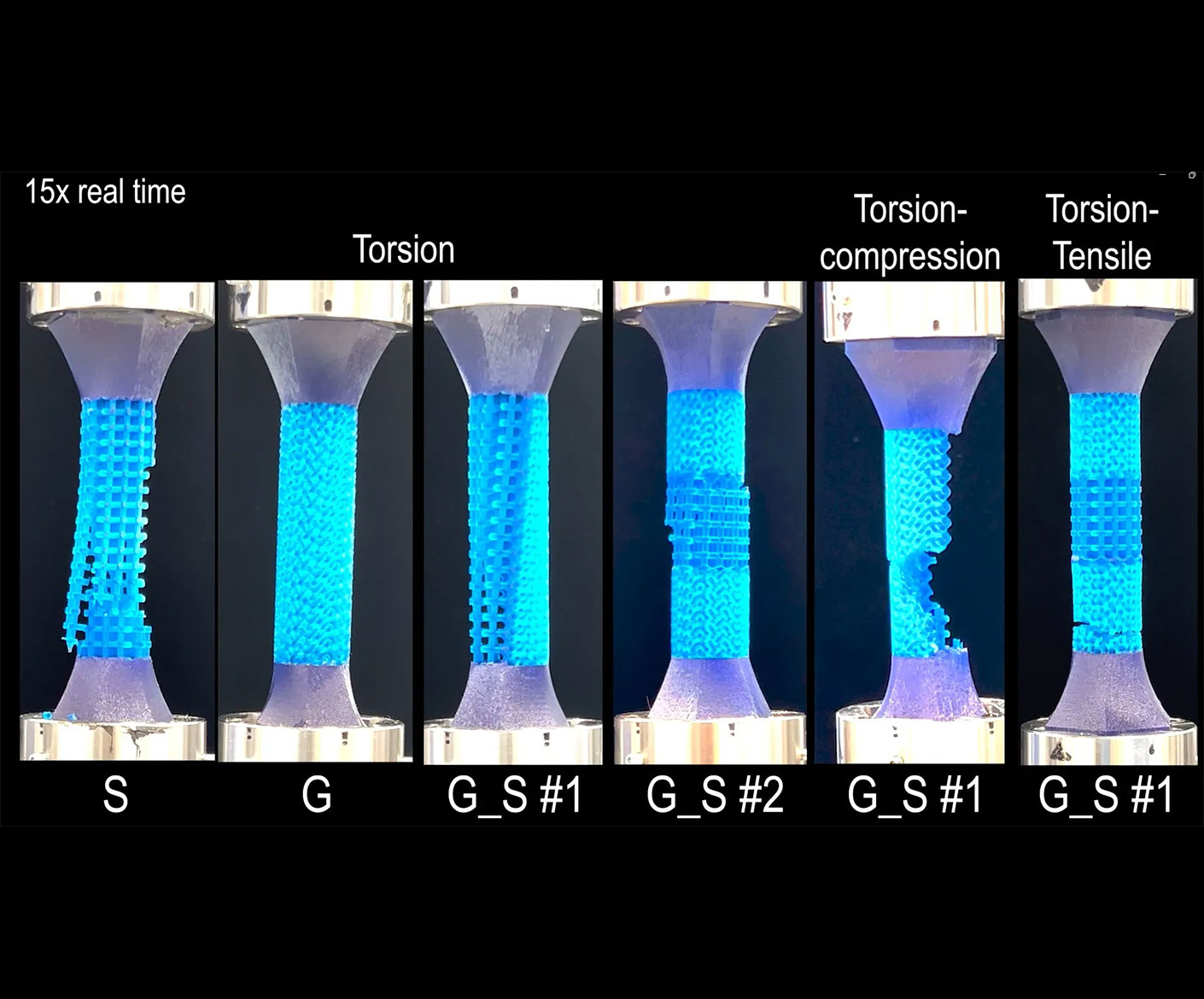 TU Delft Algorithm Mimics Natural Bone-Tendon Transitions with Metamaterials
